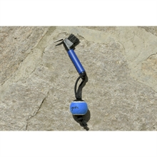 Kopystka Penelope z piłką